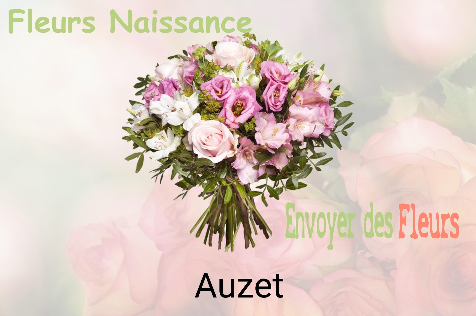 Bouquet de fleurs de naissance livré à Auzet